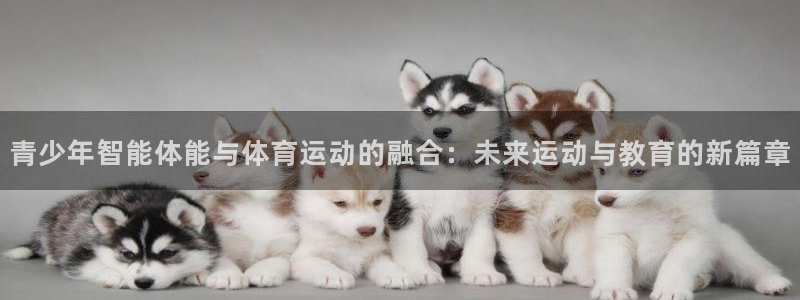 xc体育：青少年智能体能与体育运动的融合：未来运动与教育的新篇章