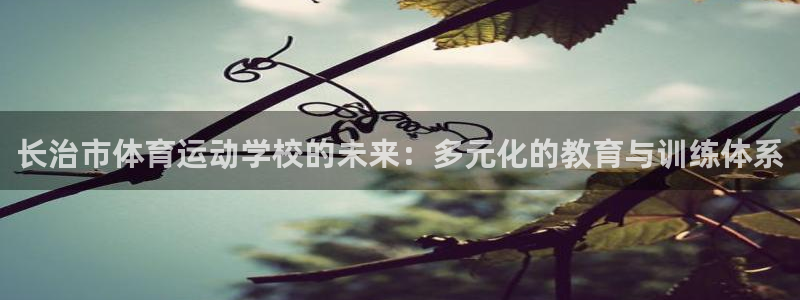 xc体育：长治市体育运动学校的未来：多元化的教育与训练体系