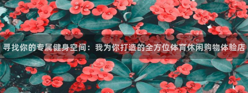 xc体育app官方网站：寻找你的专属健身空间：我为你打造的全方位体育休闲购物体验店
