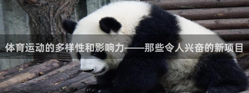 xc体育：体育运动的多样性和影响力——那些令人兴奋的新项目