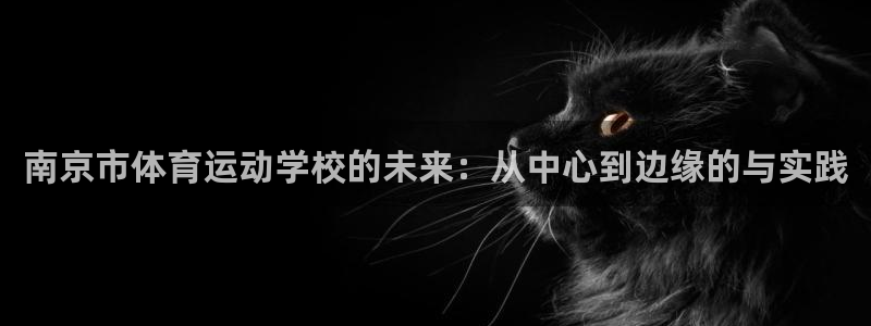 xc体育app官方网站：南京市体育运动学校的未来：从中心到边缘的与实践