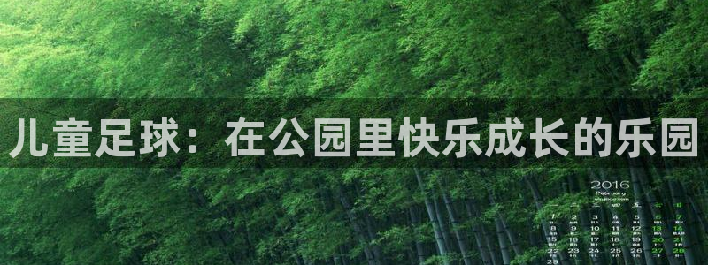 xc体育：儿童足球：在公园里快乐成长的乐园