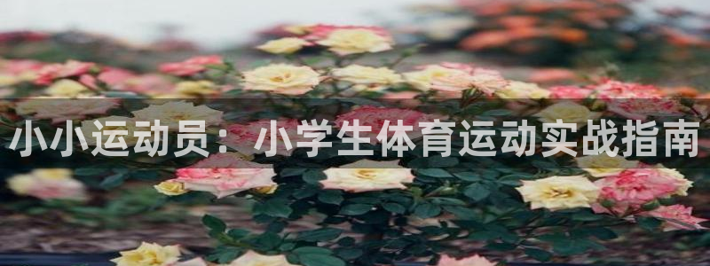 xc体育：小小运动员：小学生体育运动实战指南
