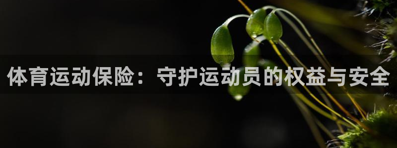 xc体育app官方网站