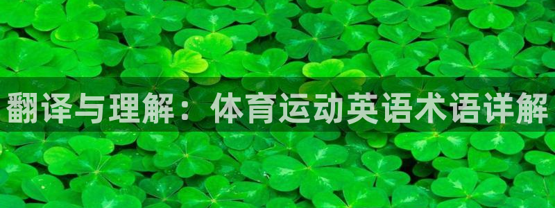 xc体育app官方网站：翻译与理解：体育运动英语术语详解